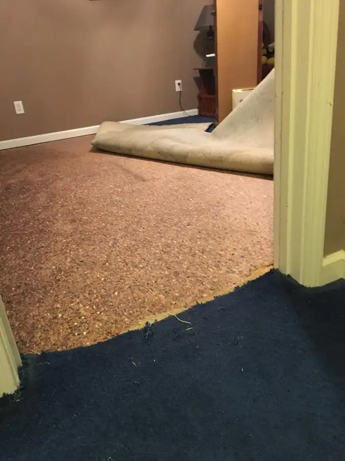 Carpet pad removal revealing water damage during Drying & Dehumidification in Fort Hunt